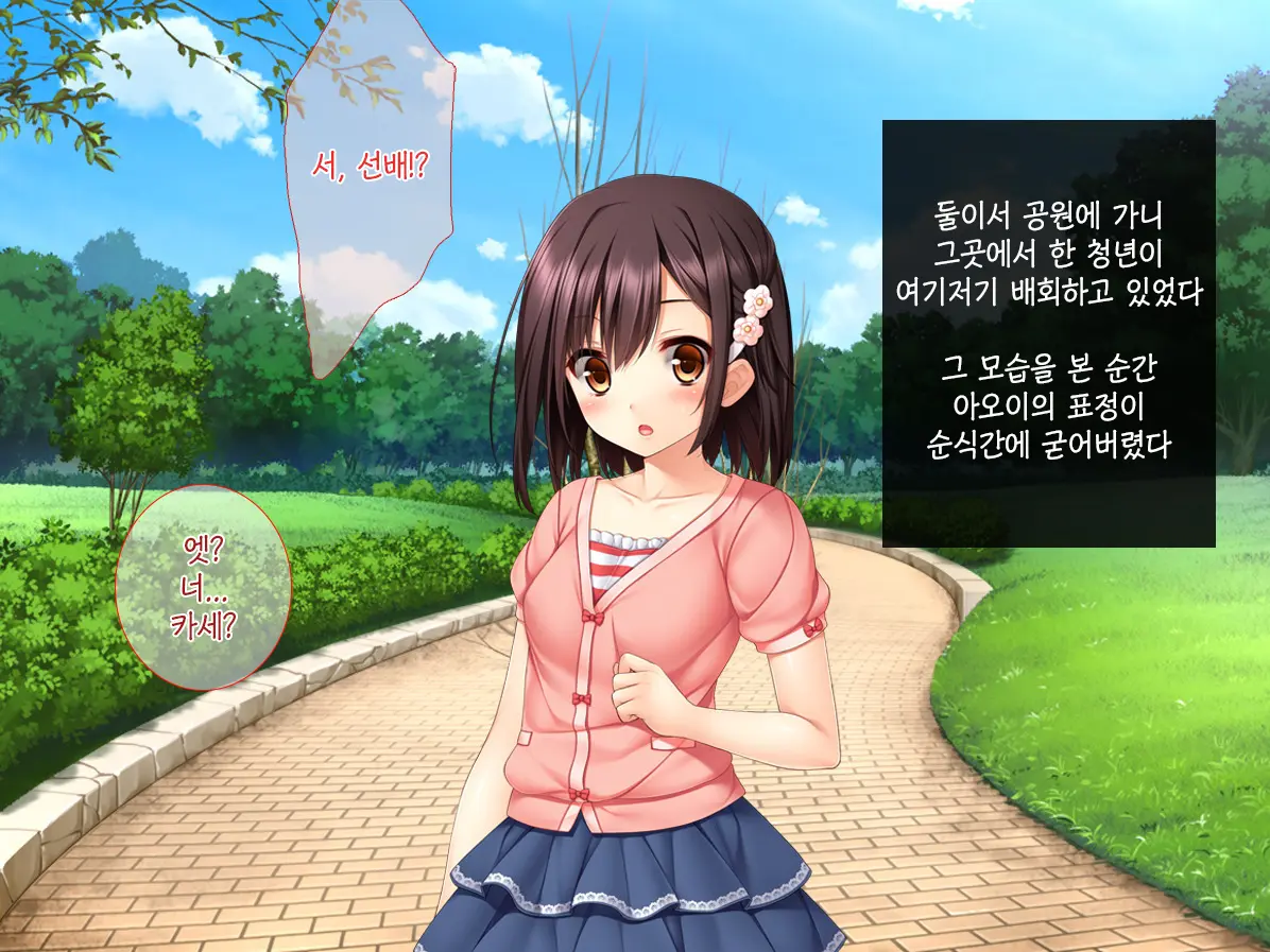 Imouto Ga Suki Sugiru Aniki Ga Kareshi Kara Netoru | 여동생을 엄청 좋아한 오빠가 남자친구에게서 여동생 빼앗기